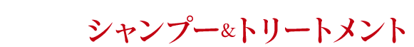 シャンプー&トリートメント